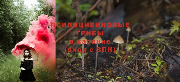 гидра Балахна