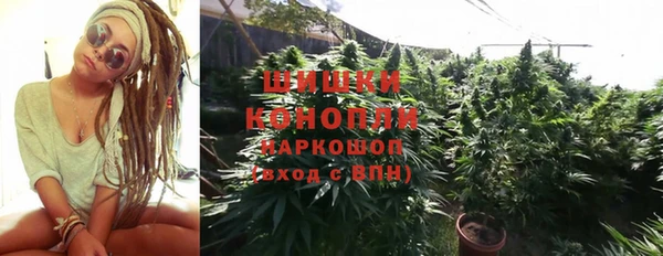 PSILOCYBIN Михайловск
