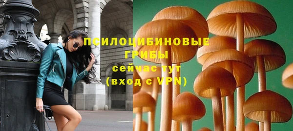 PSILOCYBIN Михайловск