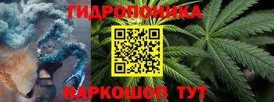 a pvp Гусь-Хрустальный