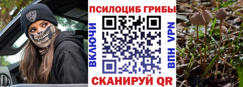 Псилоцибиновые грибы Cubensis  дарнет шоп  Железноводск 
