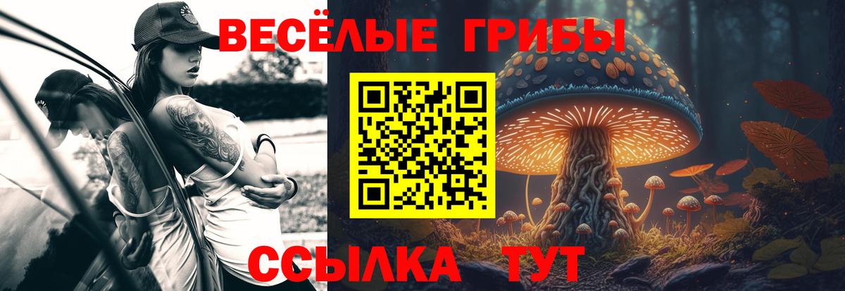 Железноводск  Псилоцибиновые грибы GOLDEN TEACHER  Вход с VPN 